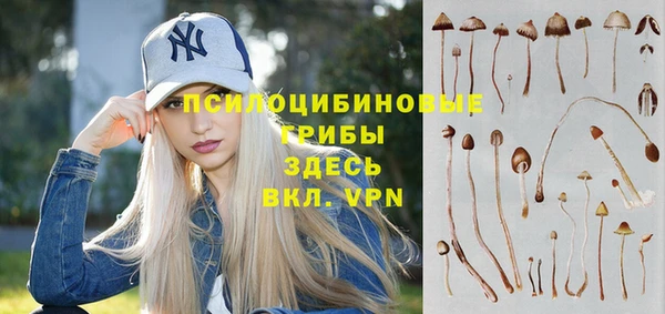гашик Белоозёрский