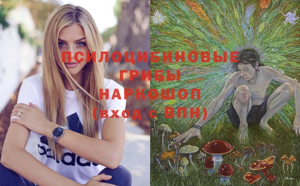 гашик Белоозёрский