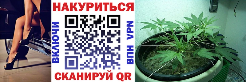 Шишки марихуана тримм  купить наркотик  Мглин 